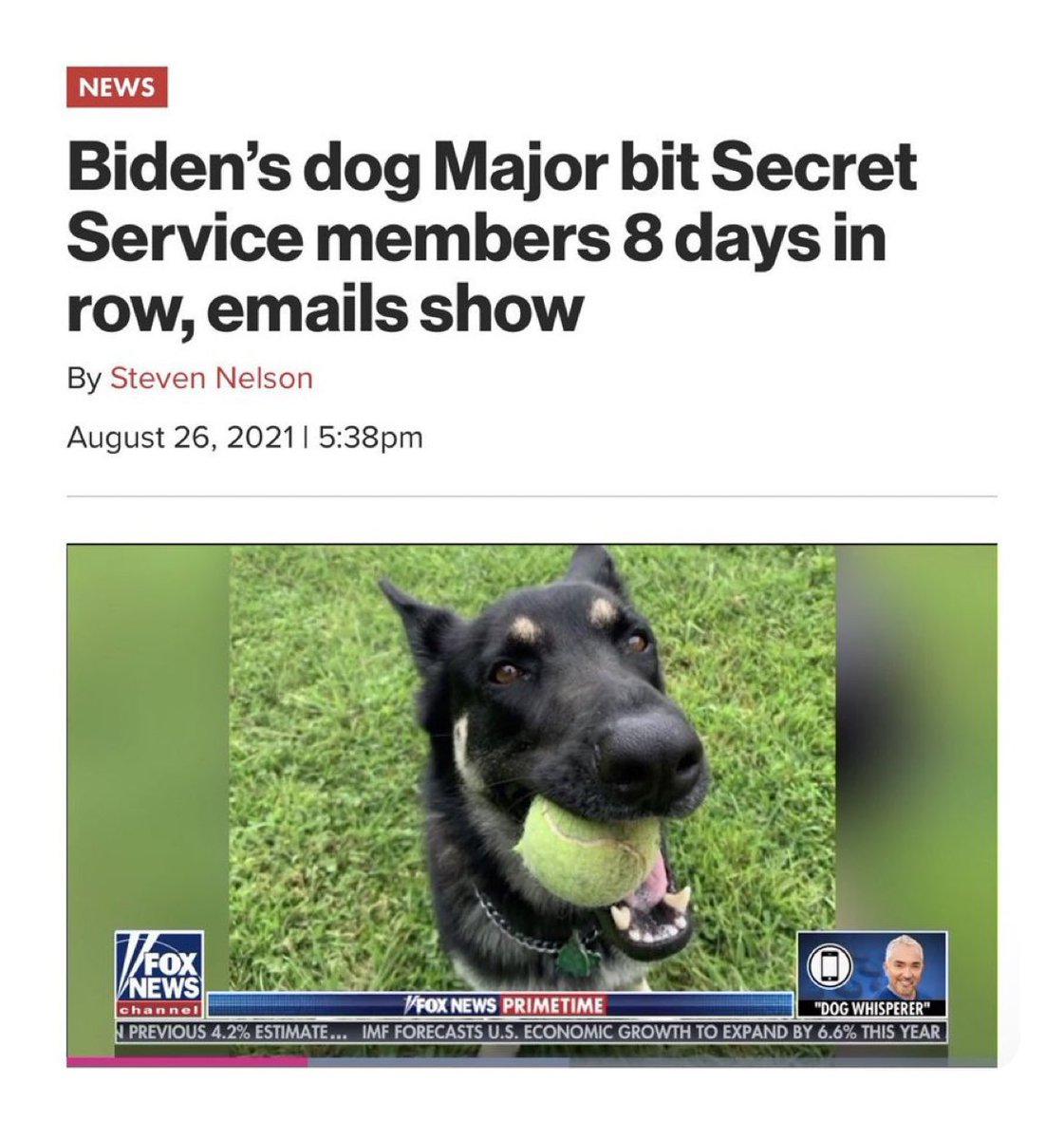 LisaSabinWilson's tweet image. Major tried to warn us! 🤣 #SecretServiceCoverup