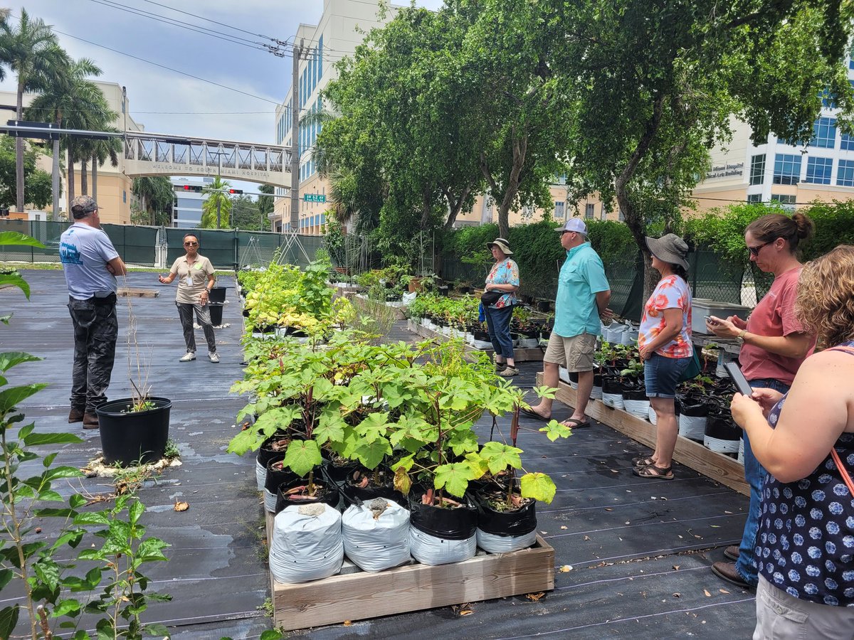 Lunch at Grow to Heal #urban #Community #garden @BaptistHealthSF showcasing urban farming initiative to grow #herbs and #veggies for hospital patients in @MiamiDadeCounty. #ampicfl22 @agagents @WomenAgScience @FSHS_Hort