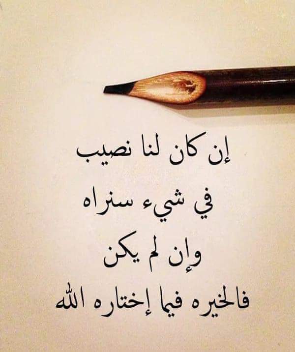 SElbadry14's tweet photo. https://t.co/OpUYjWuSbv