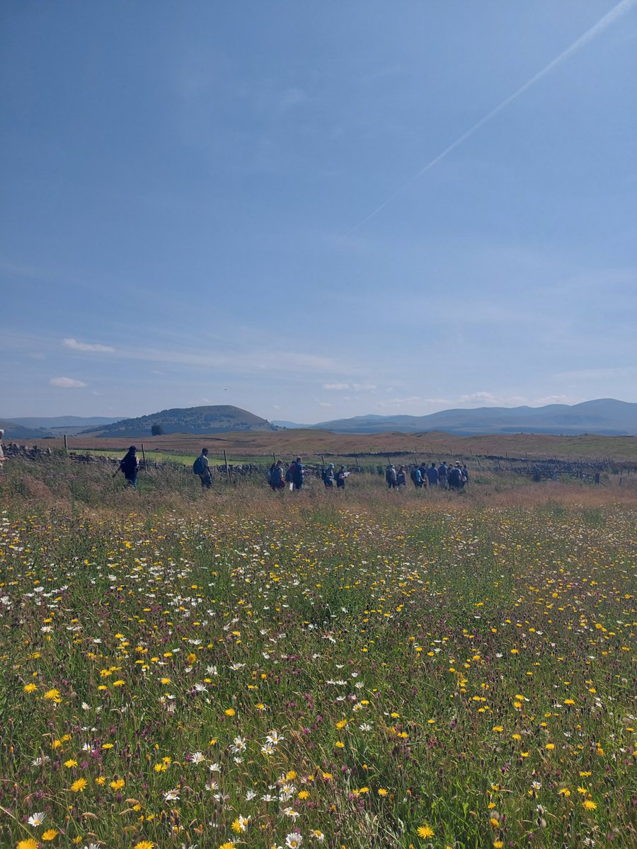 Thank you <a href="/cumbriawildlife/">CumbriaWildlifeTrust</a> for a great afternoon session! Plant ID, habitat management and cows! #BESUG22