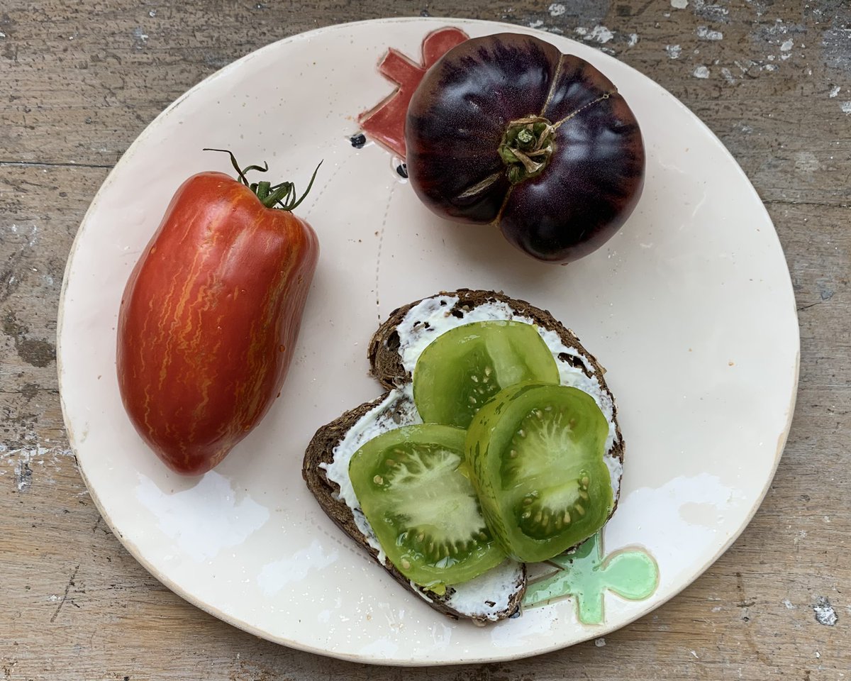 vanillegf's tweet image. funny tomatoes