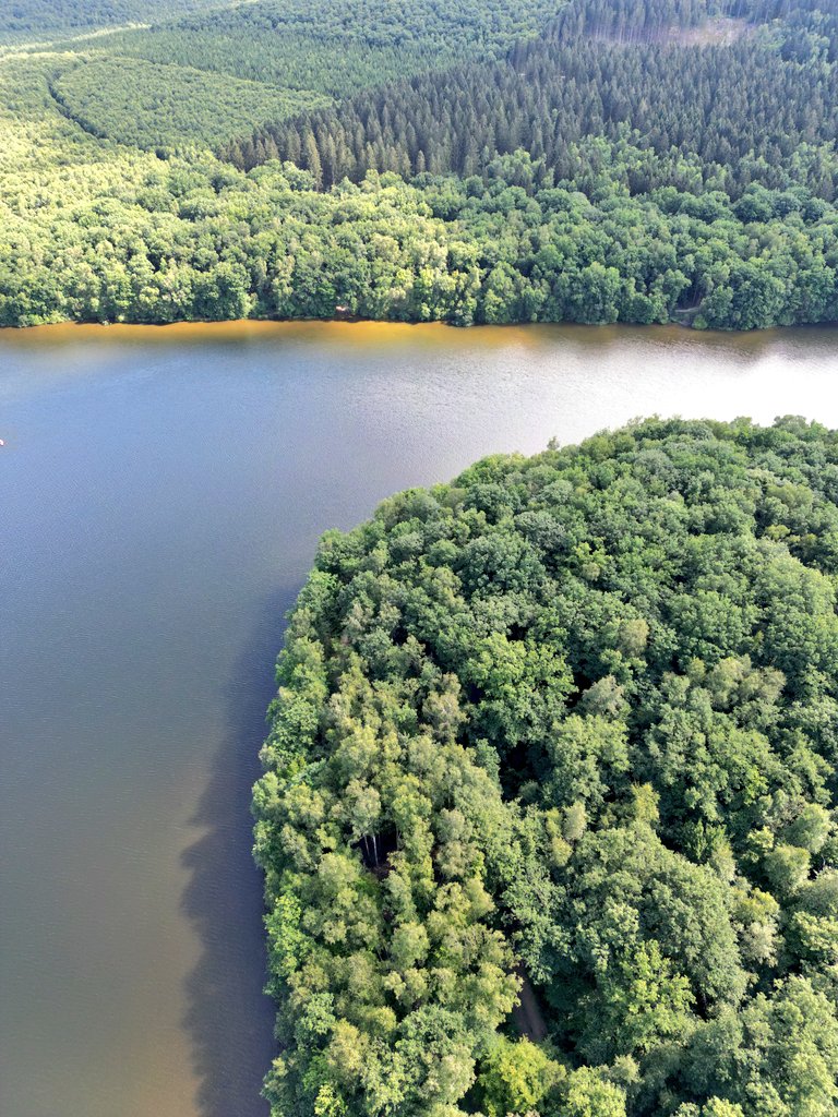 merrylzr's tweet photo. Parc Naturel Régional des Ardennes, au lac des Vieilles Forges 🌲🌳 https://t.co/8fpdmpvGMy