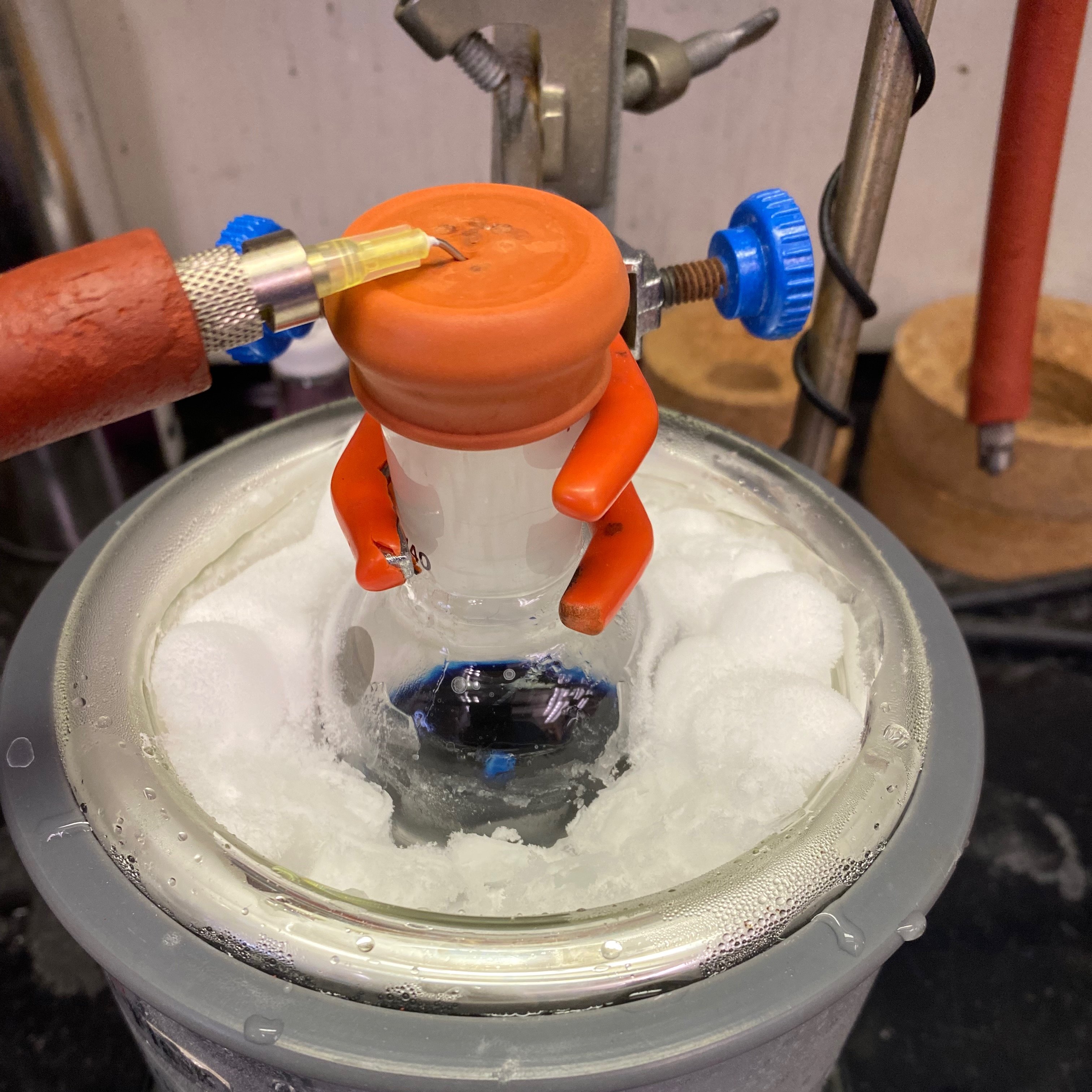 Sarah Hancock (SarahNHancock) / Twitter