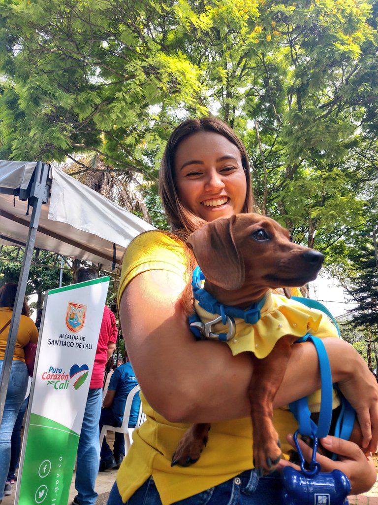 CruzYecid's tweet image. ¡Gobierno al Barrio en Primero de Mayo!☀️

La invitación es para que participe y conozca la oferta institucional en su sector.

Asesoría y servicios en salud, vivienda, deporte y más. 

@AlcaldiaDeCali 
@JorgeIvanOspina 
@emrucali

#GobiernoAlBarrio
#TeQueremosCali