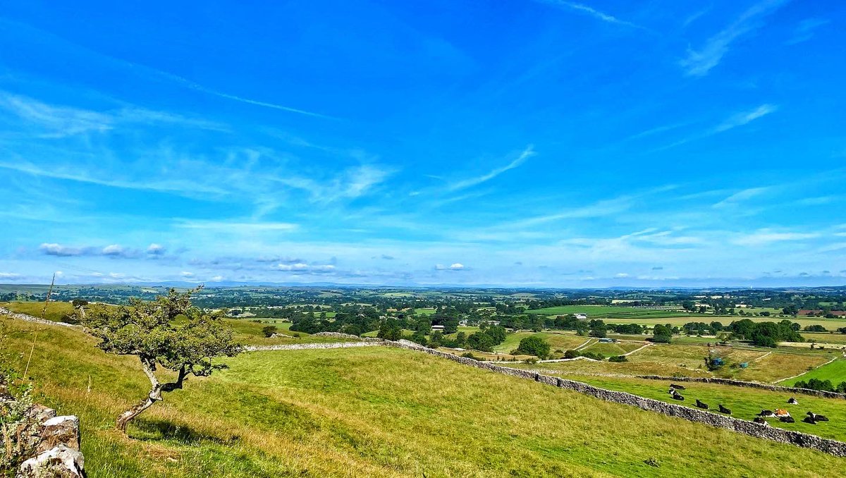 oldcrofthouse's tweet photo. The perfect walk for a summer morning. Blue skies, far reaching views followed by dappled shade and a paddle in the river…
#lifedoesntgetanybetter #summerwalks #blueskiesandsunshine #dappledshade #amazingviews @NorthPennAONB #wildboarfell #yorkshiredalesnationalpark https://t.co/c13wIMHTSV