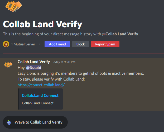 Sssebi's tweet photo. Please do not fall for such DM's it is better to just block all messages on discord. This kind of scams end up compromising your entire wallet.
Lazy Lions or other projects will never DM you.

#StaySafe #LazyLions https://t.co/RiyCniXskA