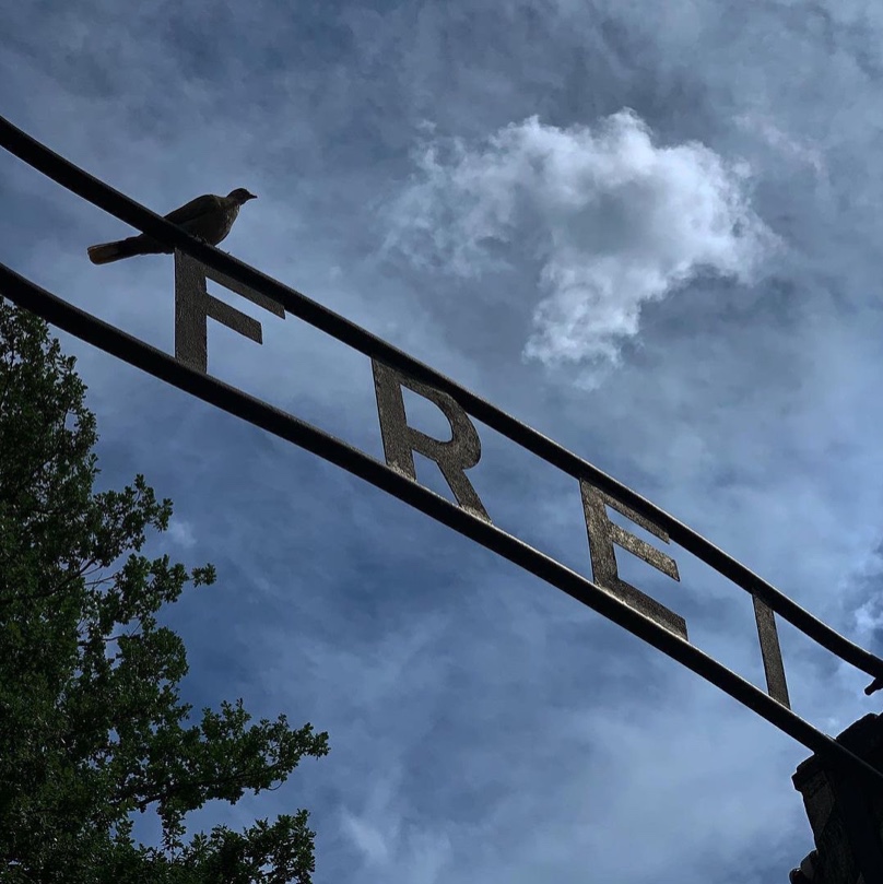 A symbolic image. How would you caption this?

(#Auschwitz I, Arbeit macht frei gate, 📷 instagram.com/insidetheeasye…)

Follow us on Instagram: instagram.com/auschwitzmemor….