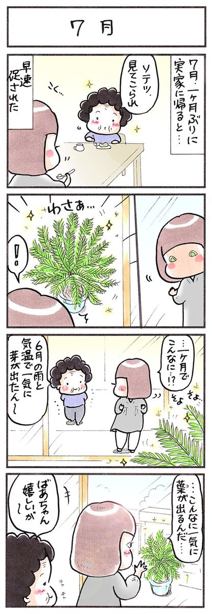 「おばあちゃんとソテツ」
#オチはないのですが #日記 #漫画が読めるハッシュタグ 