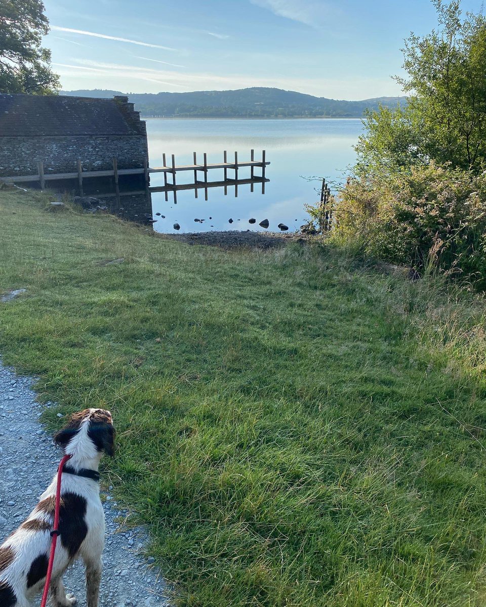 36clare's tweet photo. Beautiful morning, lots of sunshine ☀️ #LakeDistrict #EarlyDoors #dogwalk #claife #blelhamtarn #wraycastlegrounds https://t.co/thgVNeXMuO