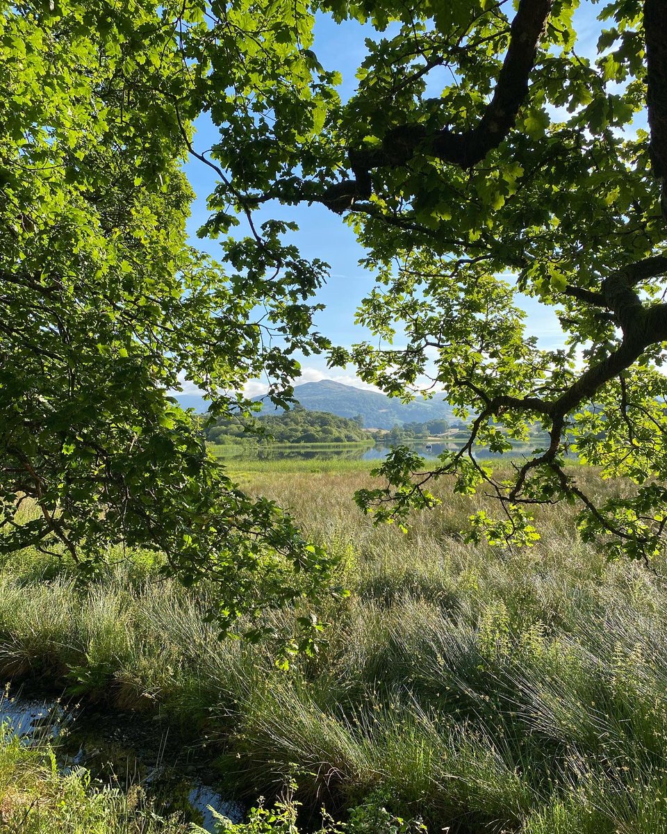 36clare's tweet photo. Beautiful morning, lots of sunshine ☀️ #LakeDistrict #EarlyDoors #dogwalk #claife #blelhamtarn #wraycastlegrounds https://t.co/thgVNeXMuO