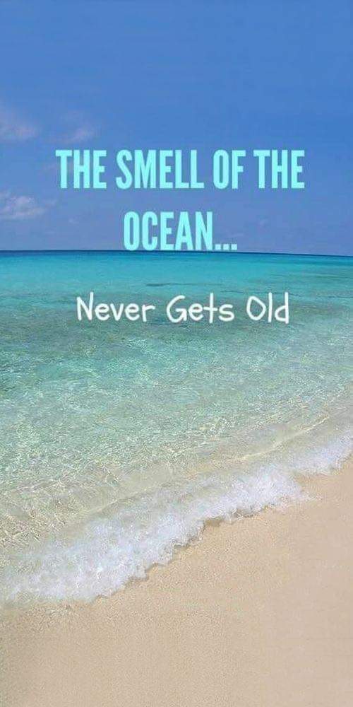 Springbokwalker's tweet image. 