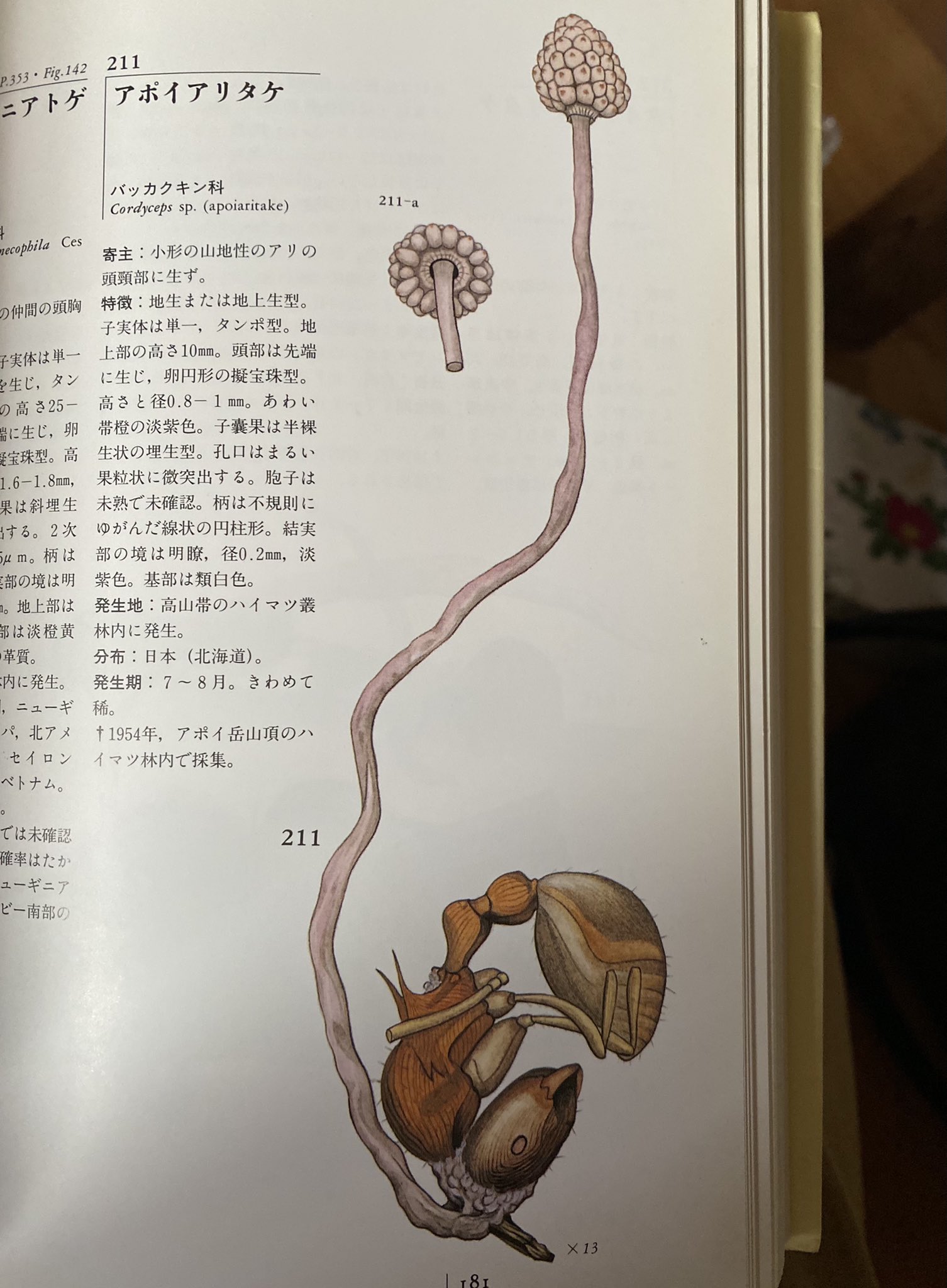 原色　冬虫夏草図鑑　初版 41ixuIJl4OL._UF350,350_QL50_.jpg