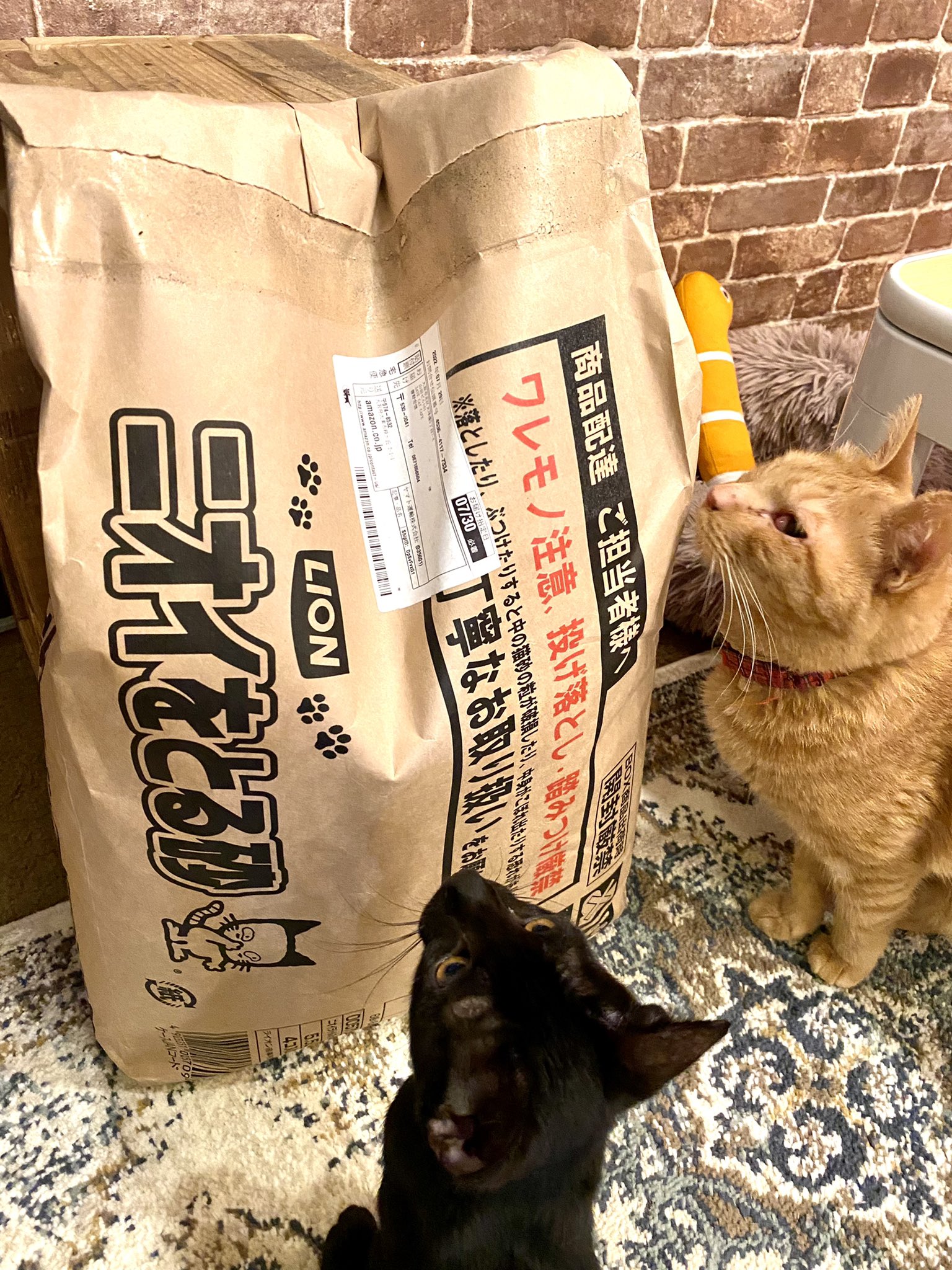 Save Cat Cafe 里親募集中 Amazon欲しい物リストより送って頂きました 猫砂はめちゃくちゃ使うので助かります いつもありがとうございます T Co Bfl6ucuqvy Twitter