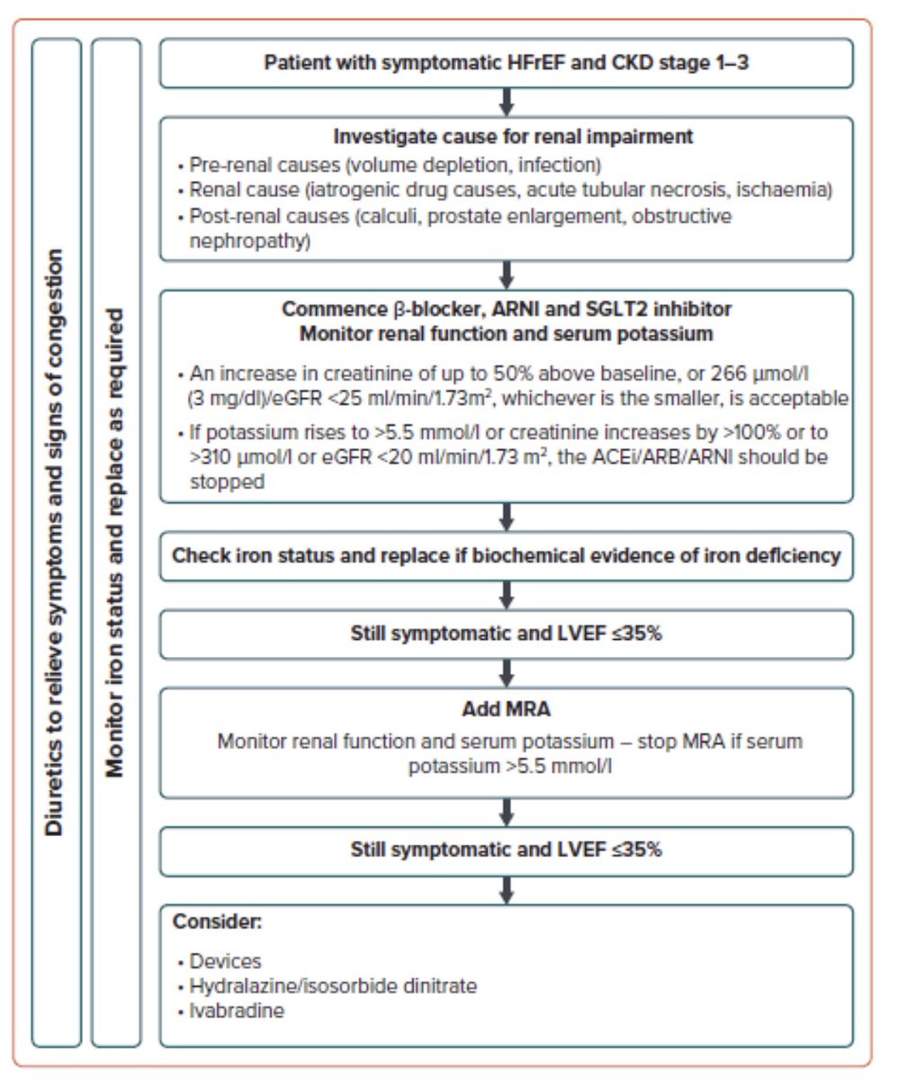 ValleAlfonso's tweet photo. Management 👥with HF &amp; Chronic Kidney Disease
🧮Diuretics
BB
MRA
ARNI
iSGLT2
ivabradine
iv Iron
vericiguat
potassium binders
peritoneal dialysis
CRT,ICD
👉 unclear combination of 💊 provide optimal management
👉 cardiology &amp; renal health🧑‍⚕️👨‍⚕️ ↗️ the quality of care to 👥 HF &amp; CKD https://t.co/Y7bvYtPF6T
