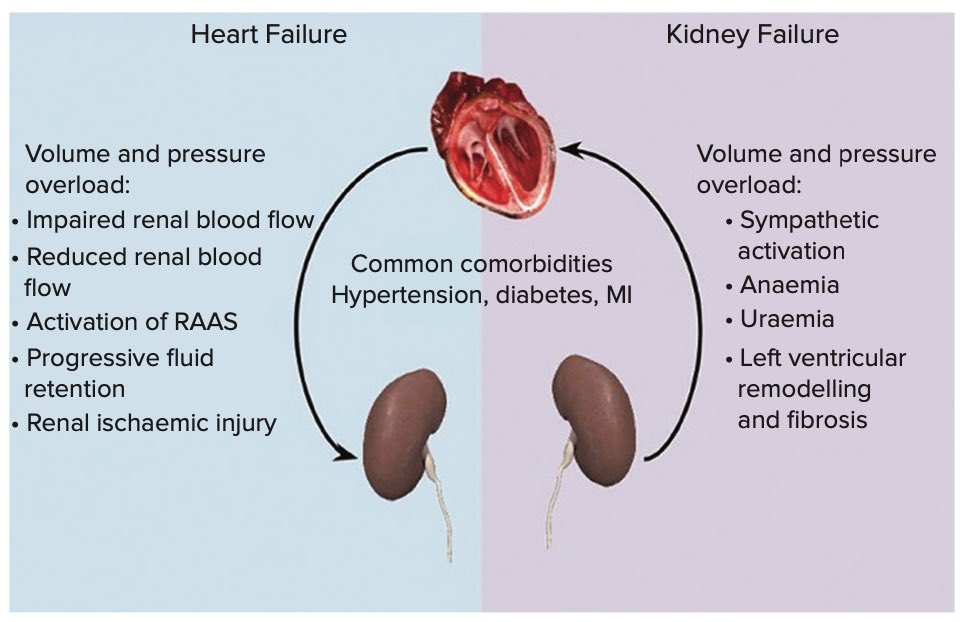 ValleAlfonso's tweet photo. Management 👥with HF &amp; Chronic Kidney Disease
🧮Diuretics
BB
MRA
ARNI
iSGLT2
ivabradine
iv Iron
vericiguat
potassium binders
peritoneal dialysis
CRT,ICD
👉 unclear combination of 💊 provide optimal management
👉 cardiology &amp; renal health🧑‍⚕️👨‍⚕️ ↗️ the quality of care to 👥 HF &amp; CKD https://t.co/Y7bvYtPF6T