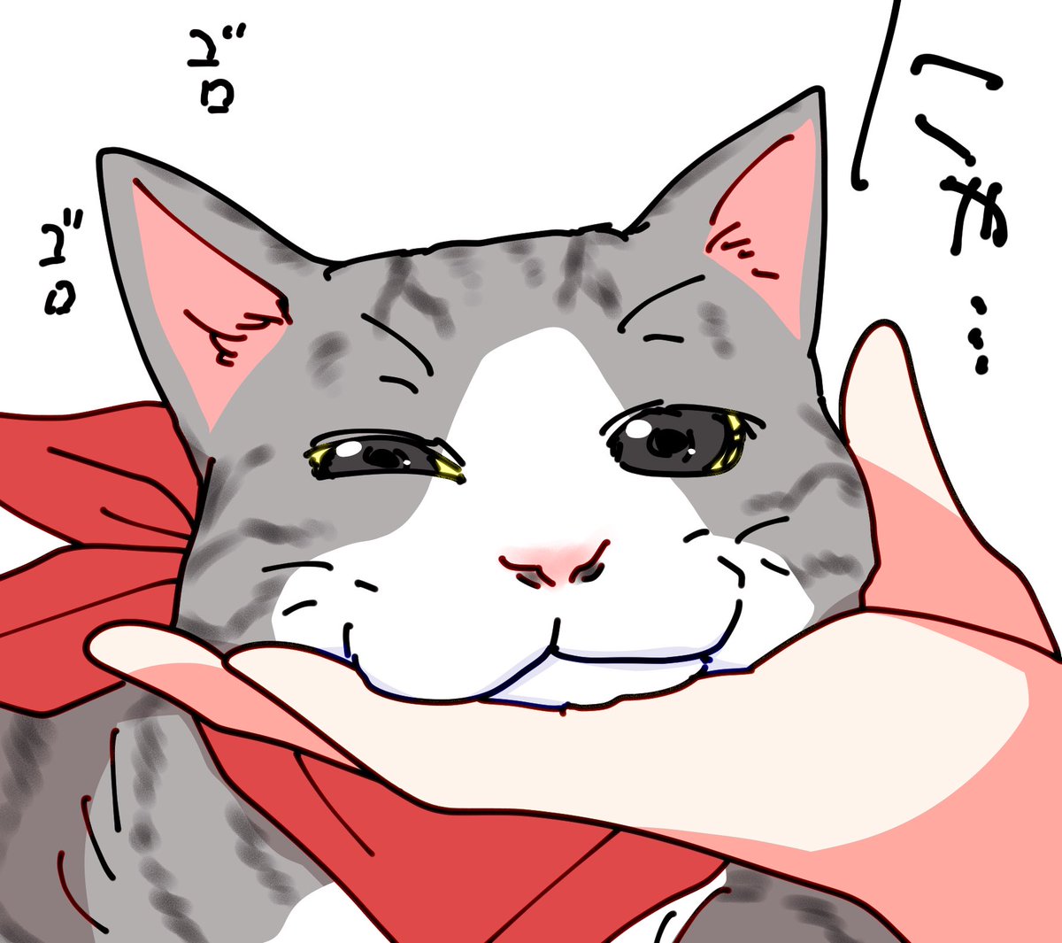 TLにネコセンパイを流す。 