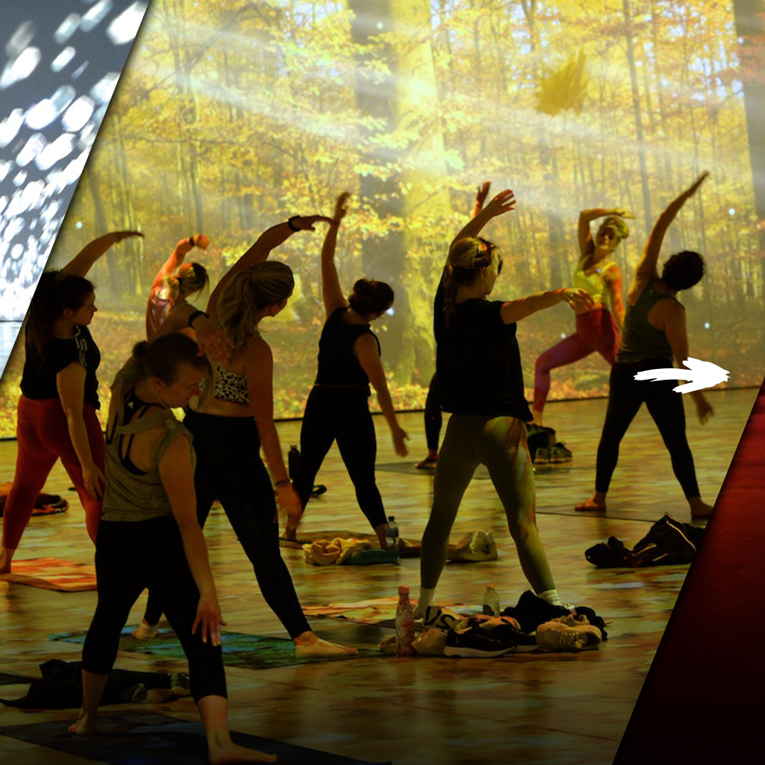 Van Gogh Dublin: An Immersive Journey - RDS Dublin tweet media