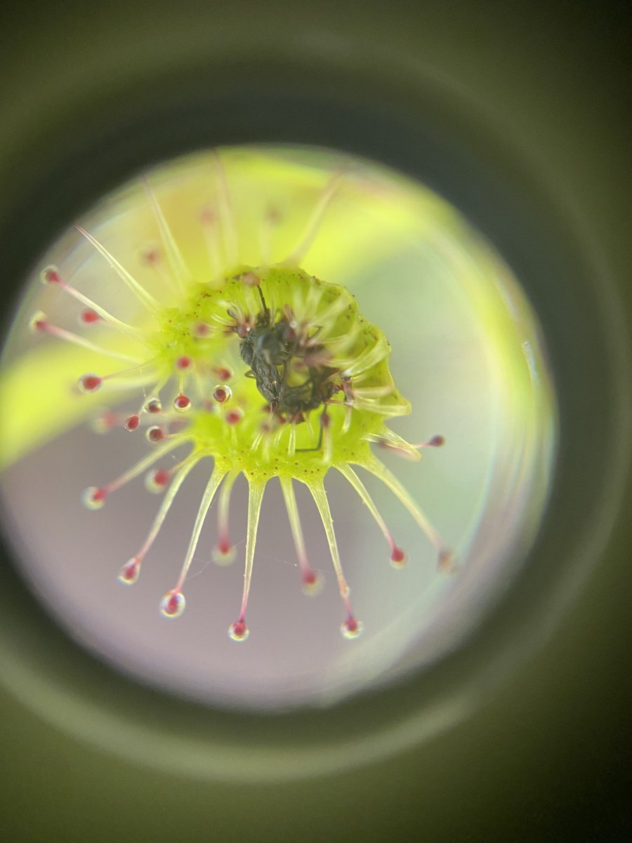 James Bidstrup tweet media