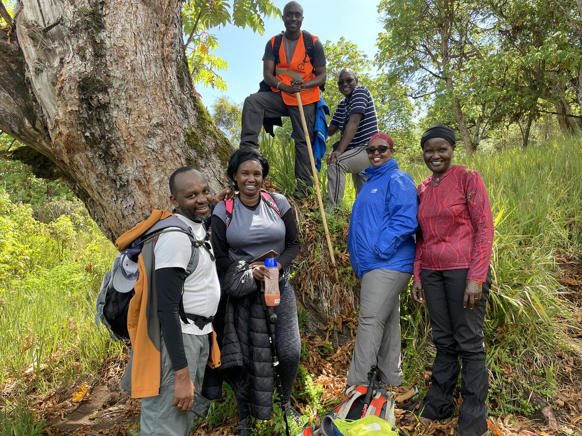 𝐊𝐮𝐥𝐚𝐦𝐨|| tweet media