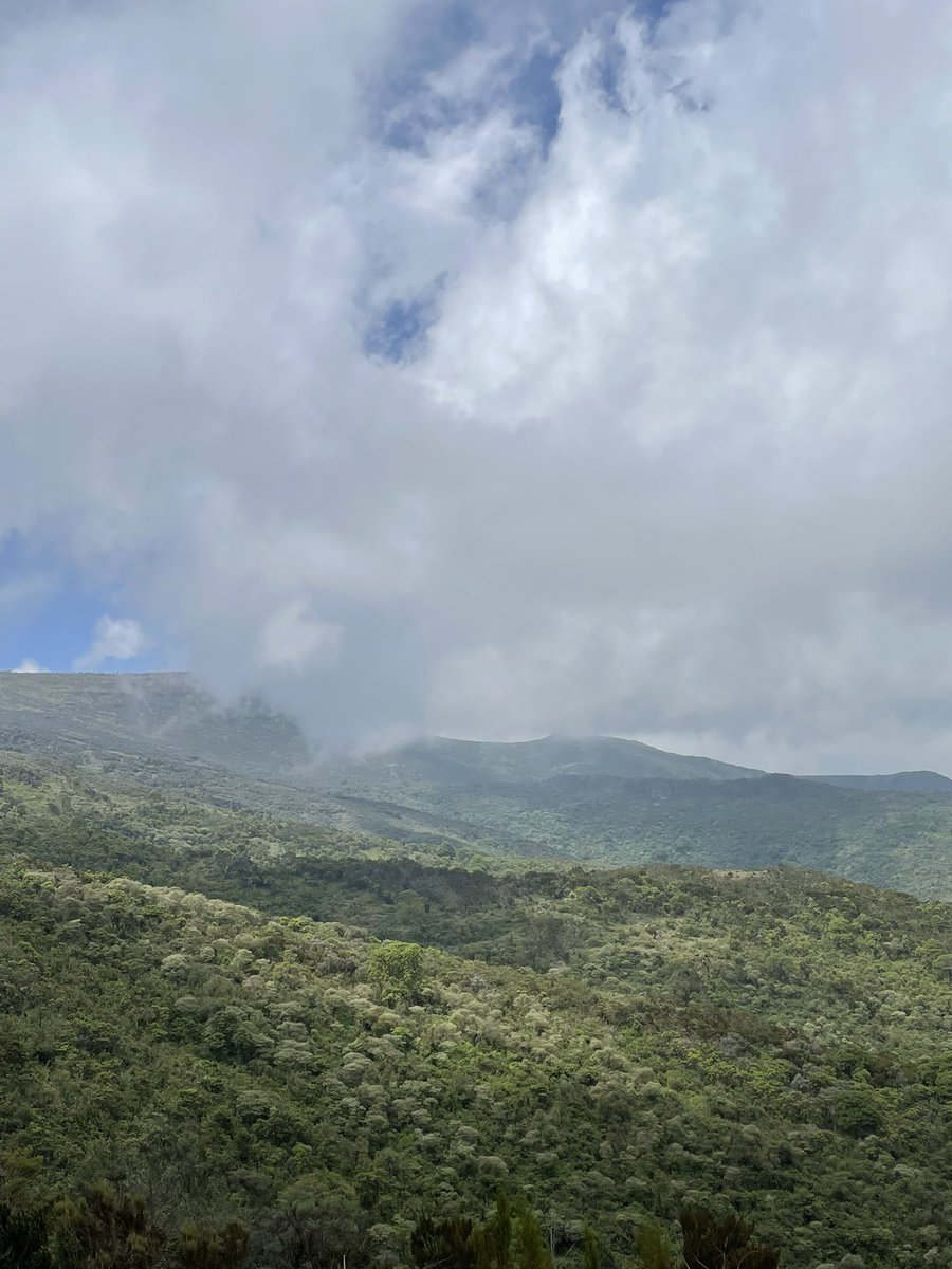 𝐊𝐮𝐥𝐚𝐦𝐨|| tweet media