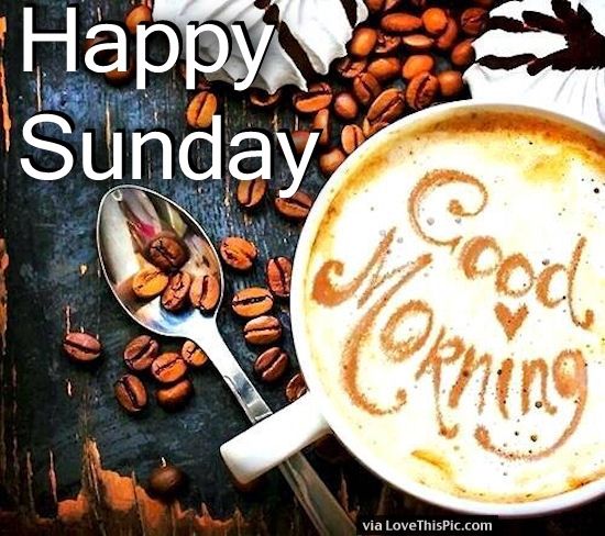 Enjoy your sunday family 💕
#NFT #NFTdrop #NFTshill
#NFTshilling #nftarti̇sts #nftcollector #NFTProject
#NFTGiveaway #nftart 
#WomeninNFTs