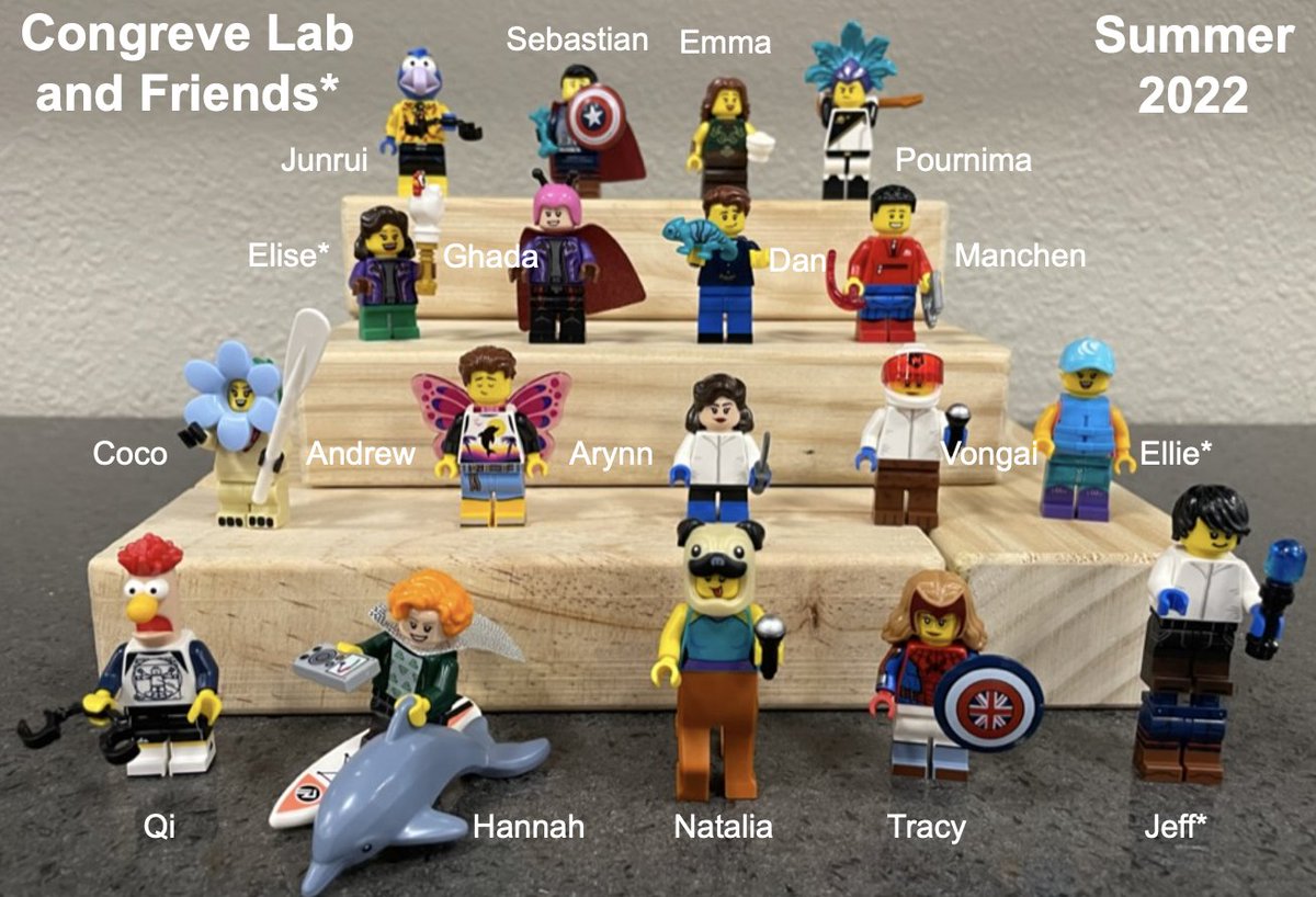 CongreveLab tweet media