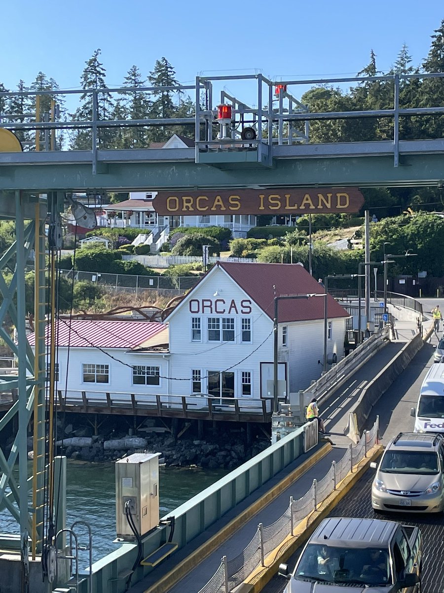 Cheryl Lloyd (@limeylloyd8) on Twitter photo 