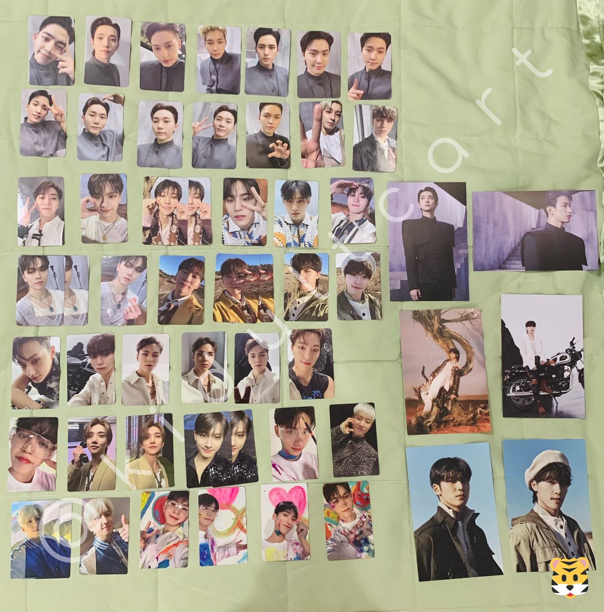 kidultcart's tweet photo. wtt ph only

Seventeen Face The Sun inclusions
want: hoshi inclus (2nd pic)
have: 1st pic

- crosstrade is ok !
- pc to postcard avail for control only

🏷 svt fts control shadow ray path pioneer carver scoups jeonghan joshua jun wonwoo woozi the8 mingyu dk seungkwan vernon dino https://t.co/9aK0TPwVHL