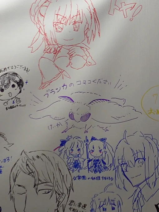 メッセージフラッグにめちゃくちゃ可愛いブランカが居た 