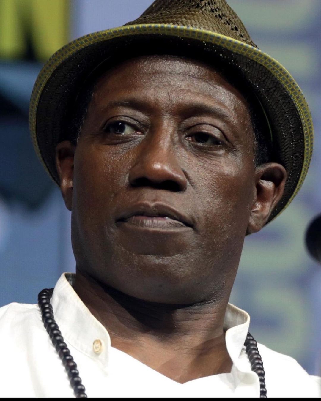 Happy Birthday to Wesley Snipes. 