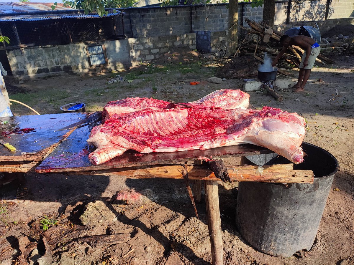 meshackyunus's tweet photo. I'm so sorry Rastafarian members from now and ever  my meals is vegetable +🐷 😜 https://t.co/j5jWdfV7go