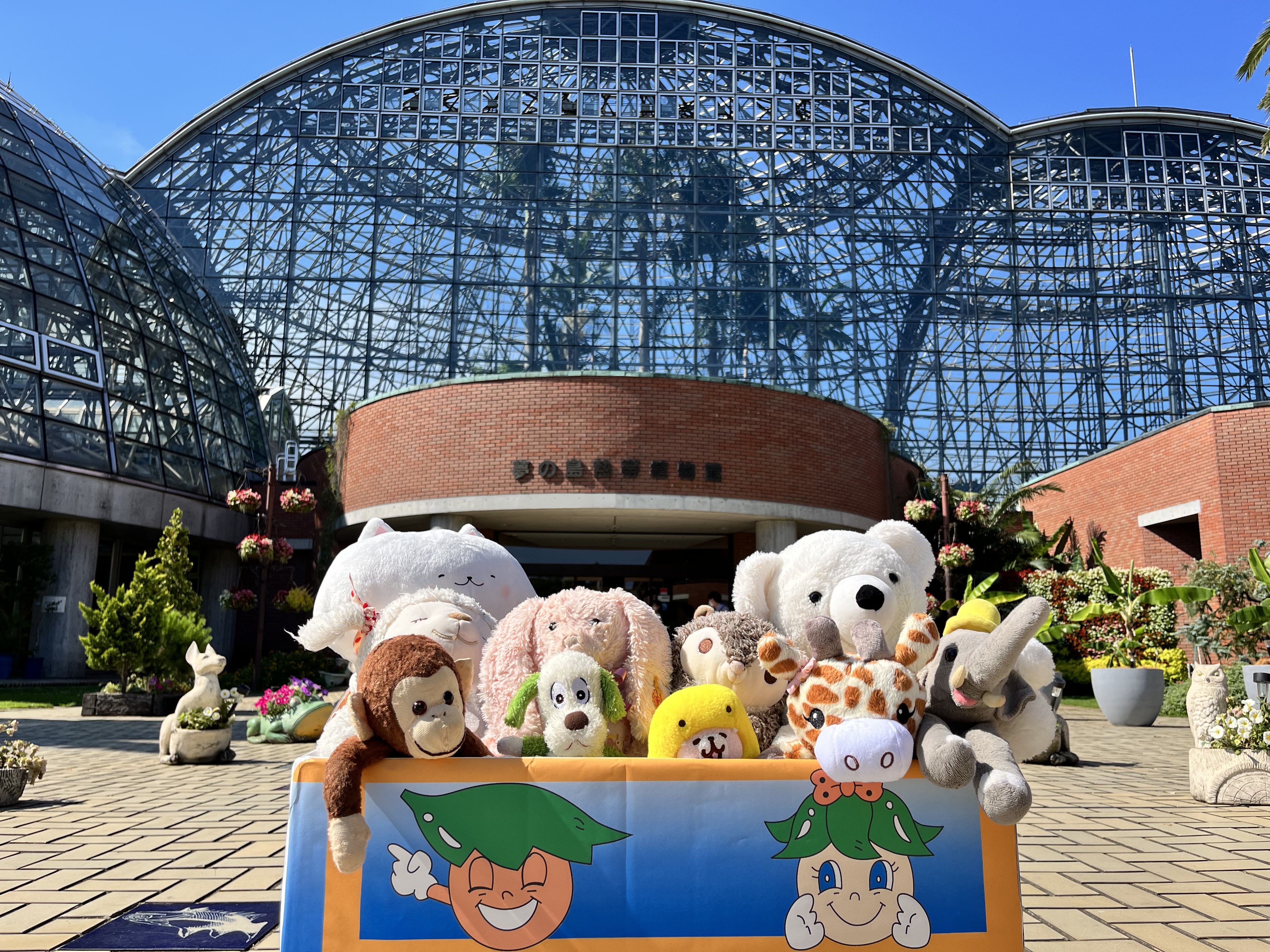 夢の島熱帯植物館 公式 ぬいぐるみのおとまり会 ピアラシティ組 たった今バスが植物館に到着しました 暑すぎてちょっとお疲れ気味 ようこそ夢の島へ 2泊3日楽しんでくださいね 夢の島熱帯植物館 ぬいぐるみのおとまり会 T Co