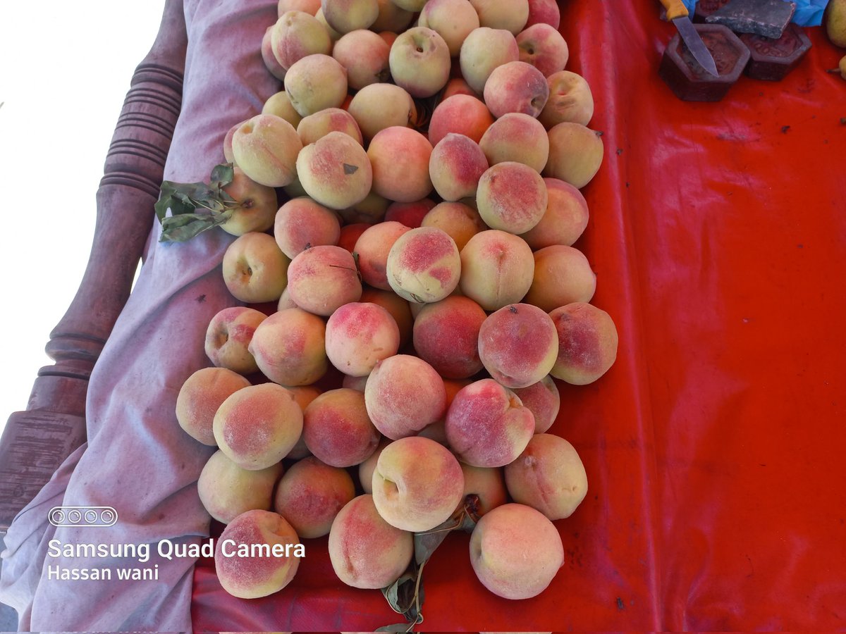 Hassanwanii's tweet photo. Local Fresh Fruits are available at #Sunday_Market Batmaloo sgr. Rate 🍐 40/kg , 🍑 35/kg &amp; 🍎 40/kg. Let's promote so that  #kashmirhawkars will also benefited. 
@BhatYasir_ @islahmufti @ashraf_wani @rjnasirkashmir 
@IrfanYattoo @Nidhi @ShujaUH @MirFareed2 https://t.co/AZcF2jhZBi