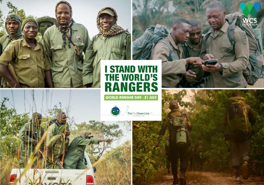 Bassey_EffiongK's tweet photo. A ranger is a guardian, a hero, a father, a mother, a keeper, a protector and our line of defense,  keeping  our wildlife safe.
World Rangers Day 
 #conservation
 #standwithrangers https://t.co/fxLYZZ2VqW