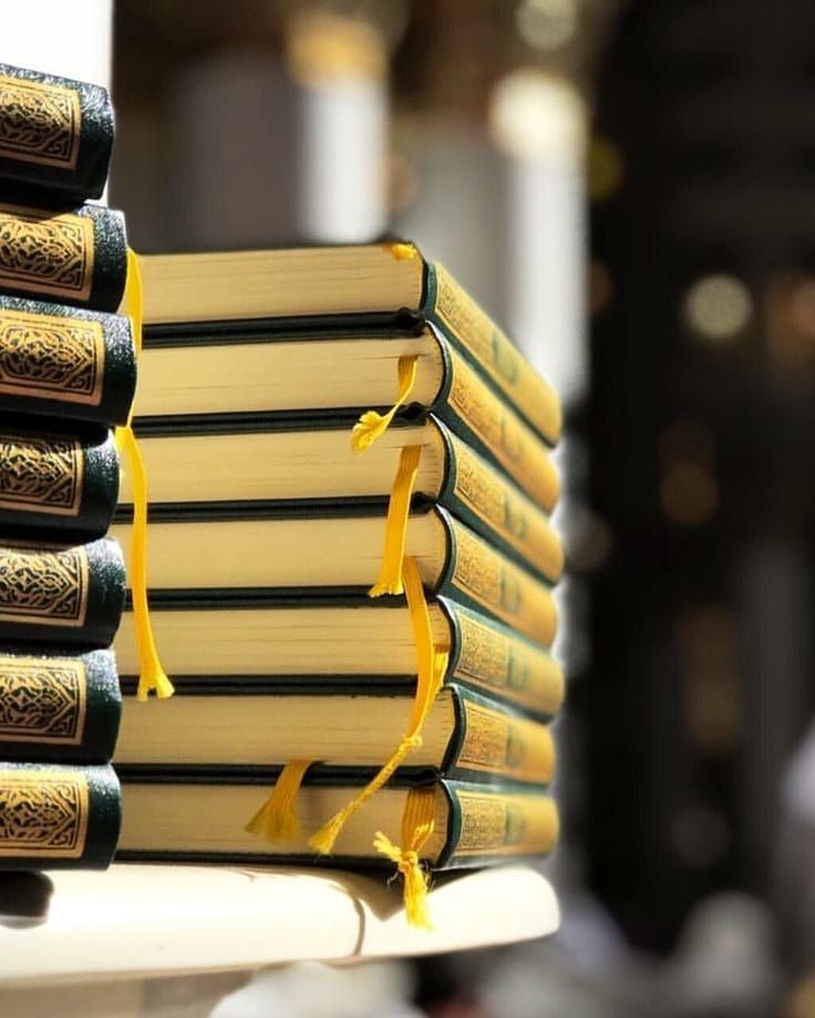 JeeroAbdurahman's tweet photo. “Quran contains the ultimate solution for all our problems.”❤ https://t.co/EjJ5KkNgNi
