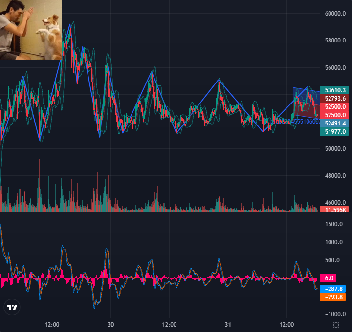 coinrbicom's tweet photo. 🚀 #ETC and 39 Others,  🟢 19 🔴 21

🇰🇷 73.88억원
🇺🇸 $6,322,130
🇯🇵 ¥694,412,356
🇪🇺 €5,350,917
🇨🇳 40,813,939元

🎉Upflow volume Now, Upbit(Korea)
#ETC #BTC #ADA #MATIC #XRP #SRM #EOS #CHZ #1INCH #POLY #ZRX #ZIL #ELF #MVL #STPT #ONG #STRAX #ORBS #VET https://t.co/ANodoIMJpb