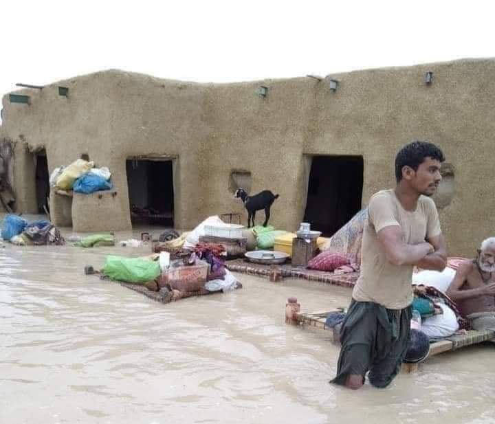 kep_trust's tweet photo. In this difficult time when flood has affected the huge areas of South Punjab.

#SaveSouthPunjab_Balochistan
 @CMPunjabPK
@CMShehbaz
@UsmanAKBuzdar @GovtofPakistan
@ndmapk
@MonisElahi https://t.co/OHflbrE8Ud