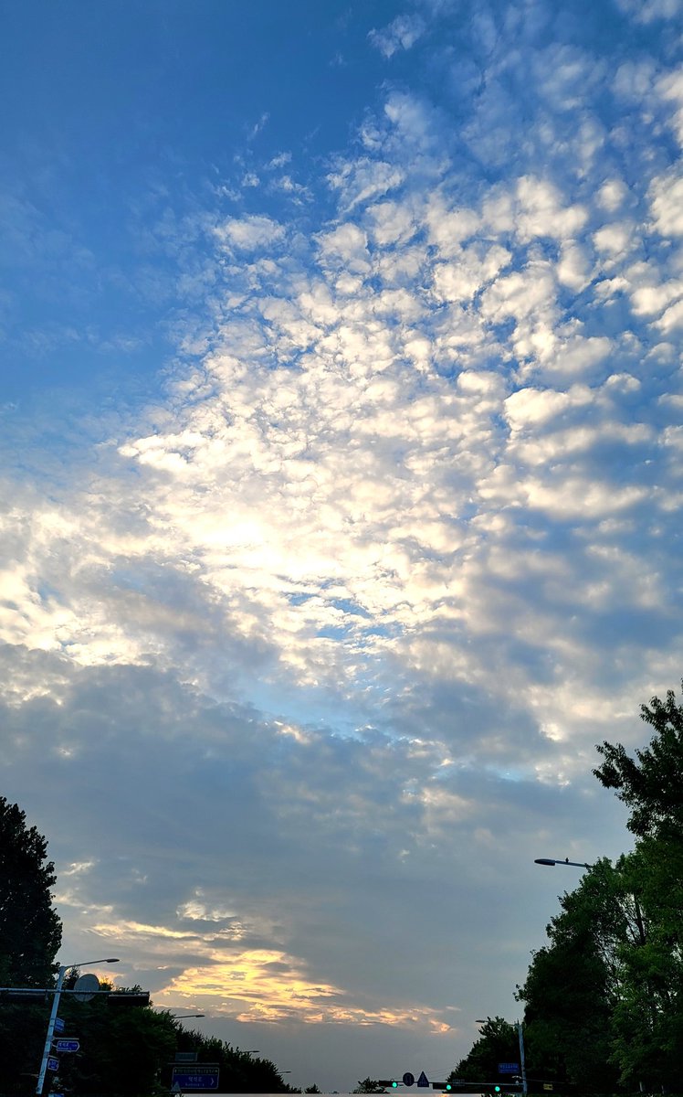 주홍맘 tweet media