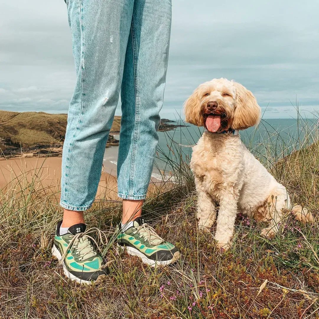 brandnationcomm's tweet photo. The best company on a trail?
The @merrelloutside x @sweatybetty Moab Speed Mid GORE-TEXยฎ collection
#MerrellEUย #Moabย #GoreTexย #hikinglife #SweatyBetty #Dog #MansBestFriend #Trail https://t.co/P8jJ18DcrT