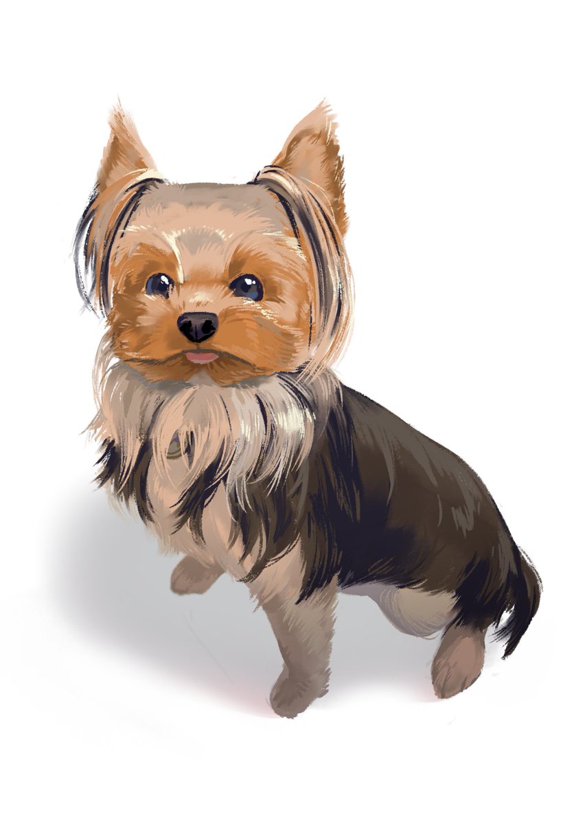 ヨークシャーテリア のイラスト マンガ作品 90 件 Twoucan ヨークシャーテリア のイラスト マンガ作品 90 件 Twoucan