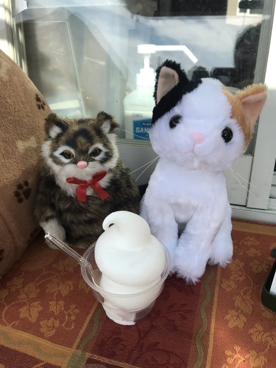MikeCatCurry's tweet photo. #WOLFStore 5周年祭㊗️
前から気になってた期間限定
ブルーベリータルトクレープと
差入れで頂いたソフトクリーム🍦
ありがたき✨️
フレッシュブルーベリー沢山でいい感じ✨️
ソフトはあっさりでウマウマ!!
三毛猫ガールズ大満足♫ https://t.co/vFu3ezK3r7