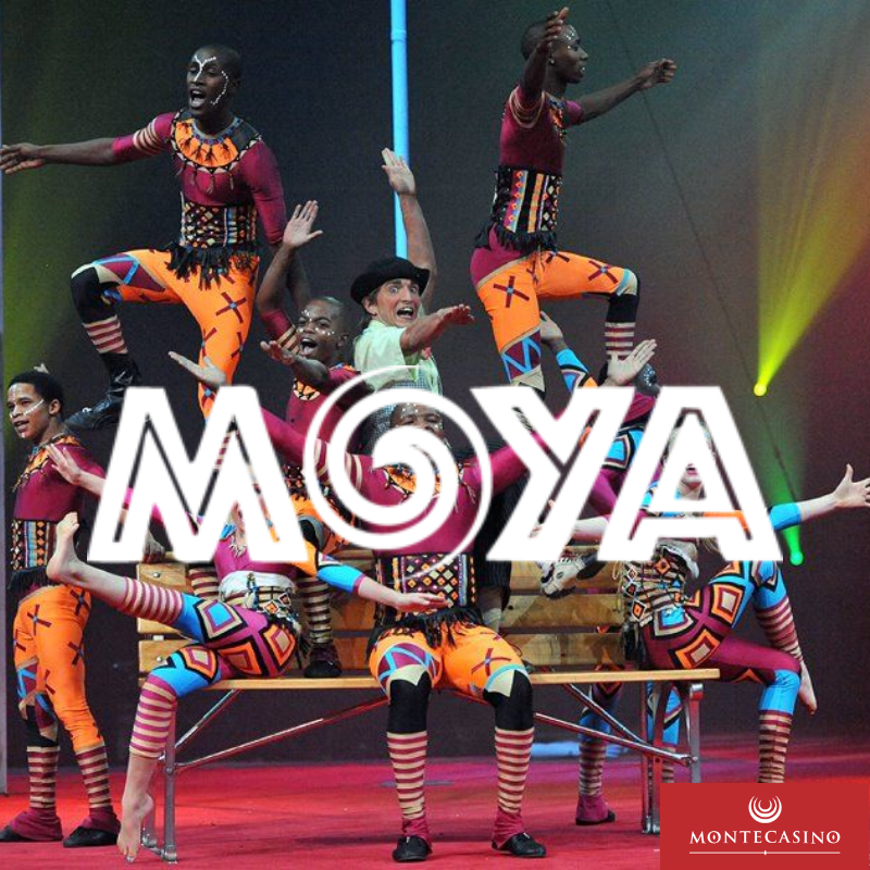 footnotesza's tweet photo. The renowned @zipzapcircus heads to the Teatro at 
@MONTECASINOZA this week (4-7 August) with their new show 'MOYA'.

It's your last chance to take advantage of the 10% 'Sleeping' Bird Ticket Discount available via @QuicketSA if you book TODAY! (31 July 2022).

#MoyaLive https://t.co/Wsqbqed46M