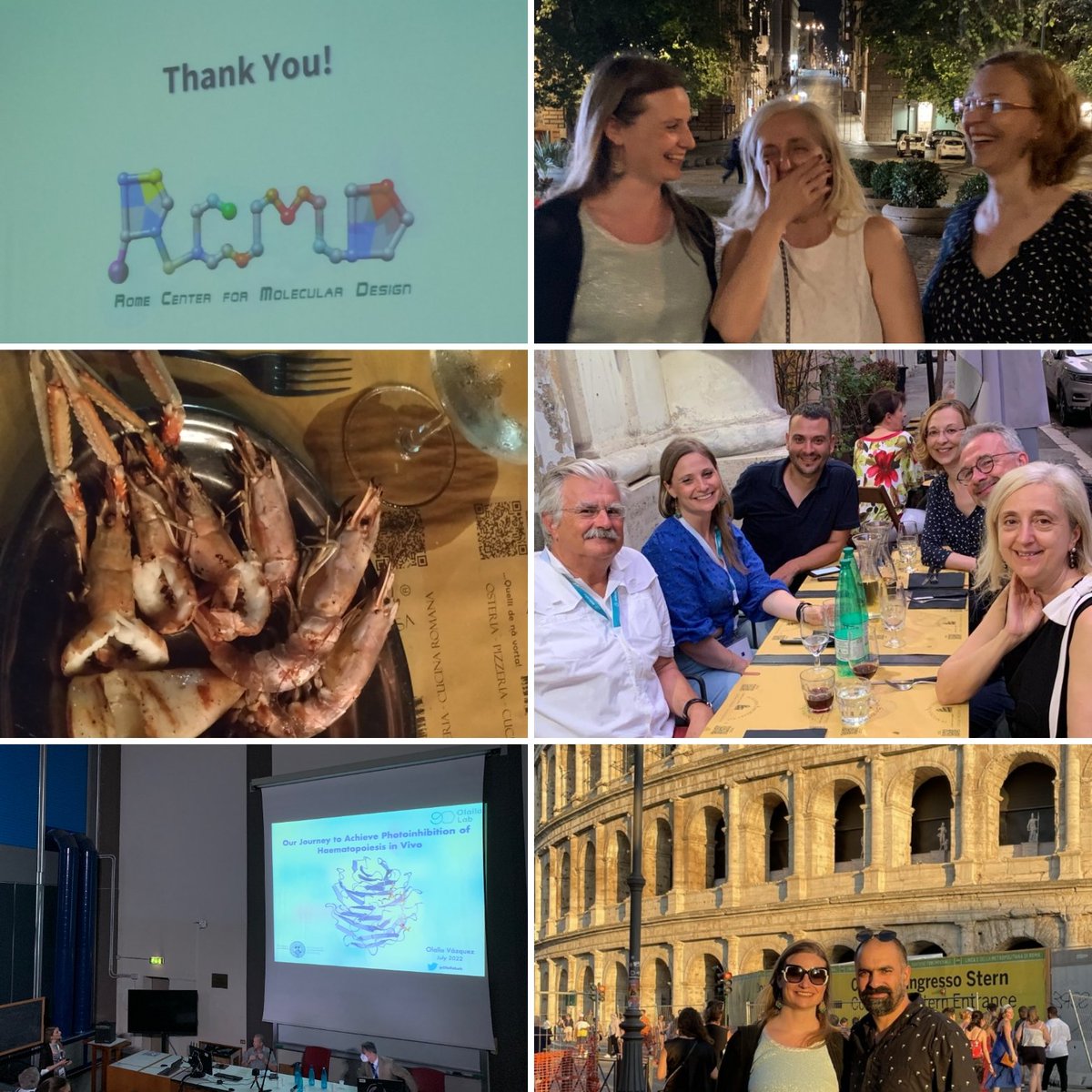 OlallaLab's tweet photo. 3countries🚆✈️🌍💫in less than14h🕒totally worthwhile for #MMCS2022 "Shaping Medicinal Chemistry for the New Decade"organised by @DMunozTorrero @spiderrino Thanks for introducing me the community&taking care of me😅❤️Such a smart&lovely people!❤️ #Proflife Ciao Bella Italia🇮🇹 https://t.co/71m6GRhL8l