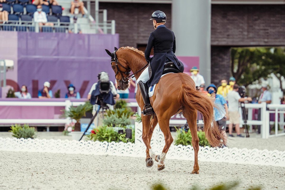 🗓 31 July 2021

A trip down ‘Memory Lane’ - Dressage Day at the Tokyo Olympic Games 

💙💛🖤💚❤️

<a href="/AUSOlympicTeam/">AUS Olympic Team</a> 

#OlympicMemories #Memories #TeamAustralia #Tokyo2020 #Eventing