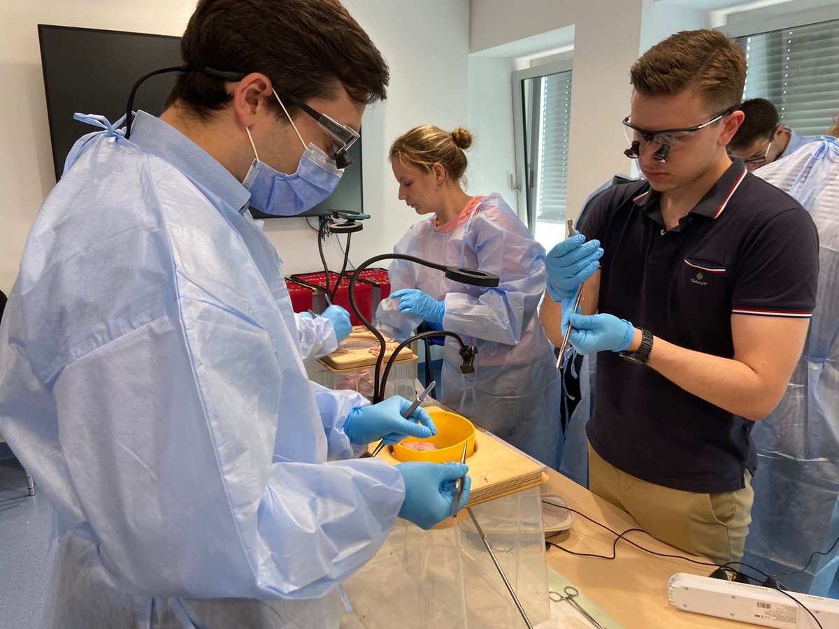 Junges Forum der DGTHG tweet media