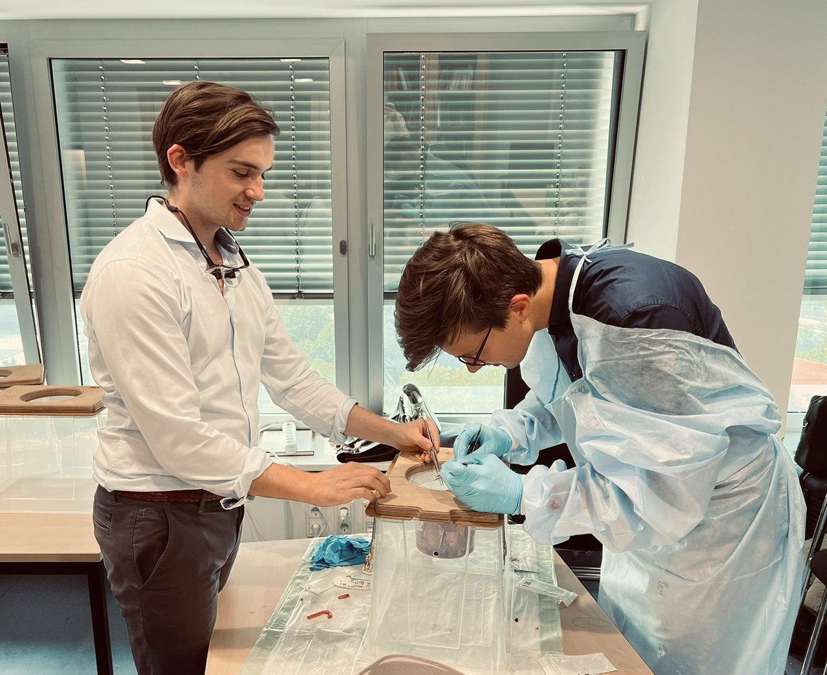 Junges Forum der DGTHG tweet media