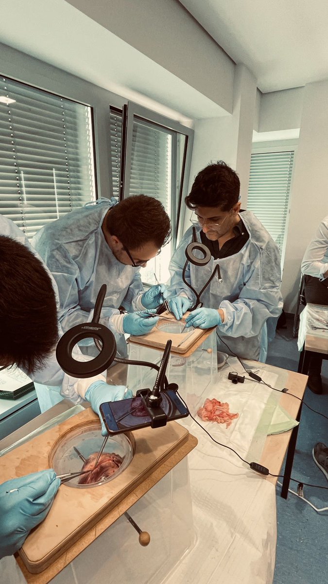 Junges Forum der DGTHG tweet media