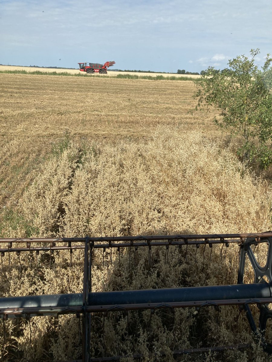 Steve Briggs tweet media