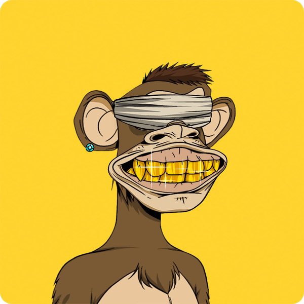 ape4life4bear tweet media