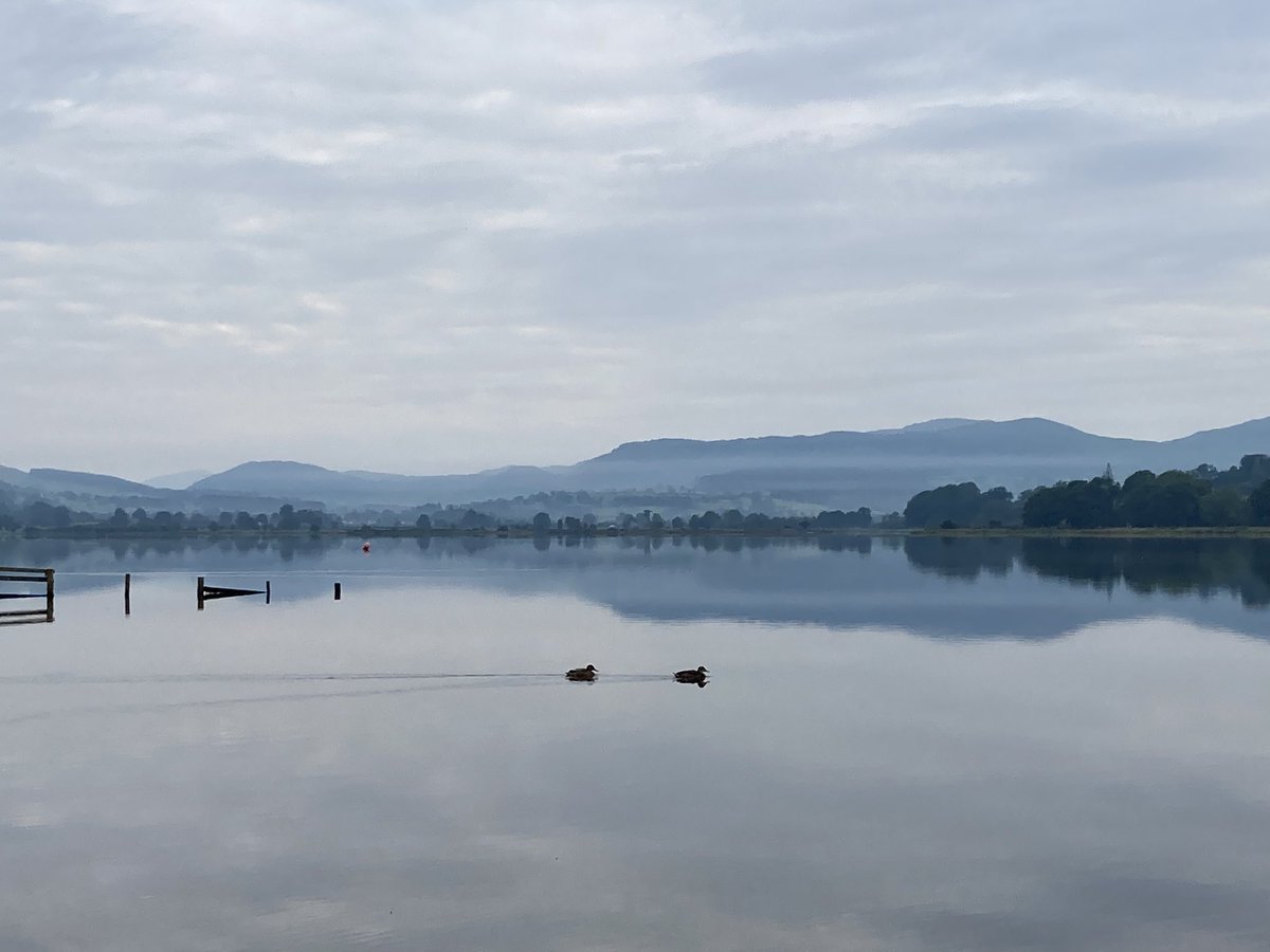 #llyntegid #exploresnowdonia @ExplSnowdonia @northwalescom 🦆⛰⛺️